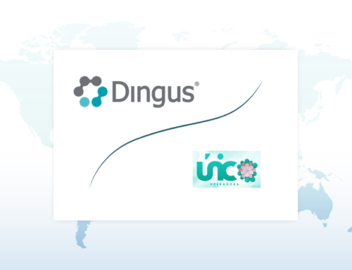 Único Operadora, nueva conectividad Dingus® para México